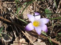 Rifugio_Paterno - 20100221 089.jpg